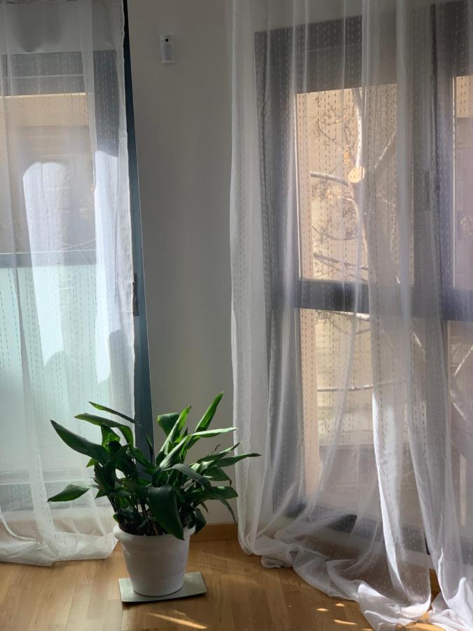 New, Cozy Apartment Plaza Del Pilar-Fuenclara Zaragoza Eksteriør bilde